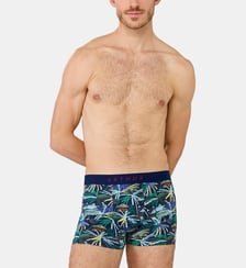 Boxer - Tropical Arthur