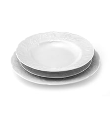 Service de vaisselle 18 pièces Médard de Noblat