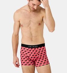 Boxer - Olé Toro Arthur