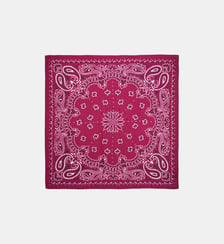 Foulard medium à motifs PAISLEY Wild
