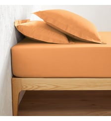 Drap housse en coton bonnet 25 cm La Redoute Interieurs