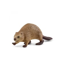Castor Schleich