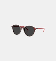 Lunettes de soleil Pantos RB2230 Ray Ban