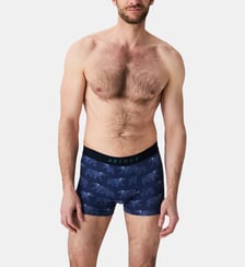 Boxer Nuit Polaire Arthur