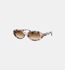 Lunettes de soleil Ovale RB2223 Ray Ban