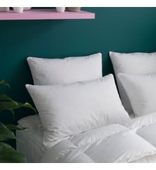 Oreiller MEDIUM 30% Duvet Anti-acariens - Coton Bio - Edgard Wake Me Green