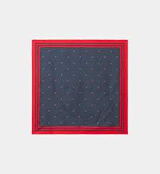 Foulard carré imprimé Claudie Pierlot