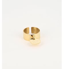 Bague Carpe  en Acier doré Zag Bijoux