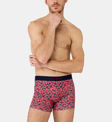 Boxer - Pastèque Arthur