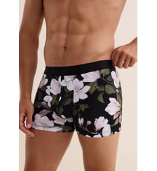 Boxer Aubade