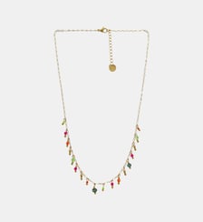 Collier Cirque Les Cléias