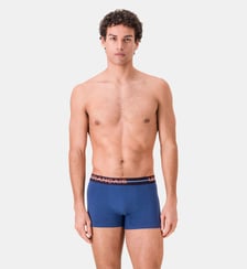 Boxer en coton Le Slip Francais