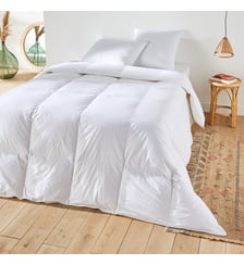 Couette très chaude 100% duvet d'oie anti-acarien La Redoute Interieurs