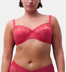 Soutien-gorge emboîtant broderie italienne Chantelle