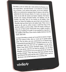 Liseuse eBook LIGHT HD Bronze VIVLIO