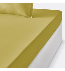 Drap housse enfant en percale de coton, 80 fils La Redoute Interieurs
