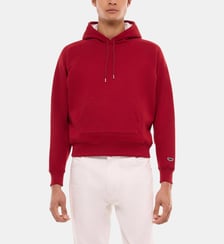 Sweatshirt à capuche en jersey de coton Fursac