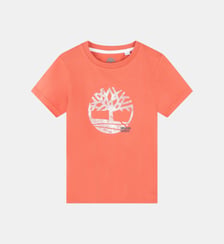 T-shirt manches courtes Timberland
