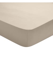 Drap Housse Studio Coton Dodo