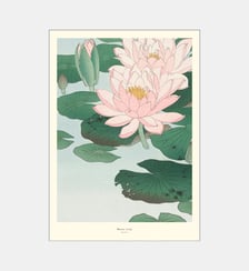 Poster   Water Lily - A.P. Atelier Poster & Frame