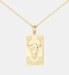 Collier en Acier Phebus