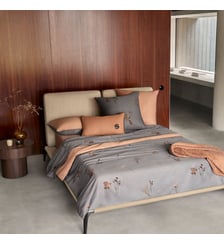 Drap housse en satin de coton Boss Home