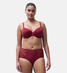 Culotte Chantelle