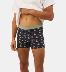 Boxer Winter village en coton biologique Billybelt