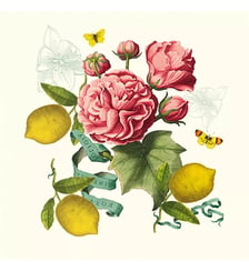 Serviette lin & coton lavé 190 g/m² imprimé multicolore Citrons de menton romance Garnier Thiebaut