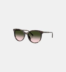 Lunettes de soleil Pantos DG4540 Dolce & Gabbana