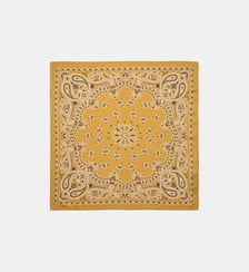 Petit foulard à motifs PAISLEY Wild