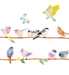 Frise adhésive sticker Branche d'oiseaux Mimi' lou