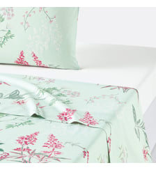 Drap plat percale de coton La Redoute Interieurs