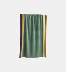 Drap de plage éponge velours 420g La Redoute Interieurs