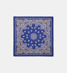 Petit foulard à motifs PAISLEY Wild