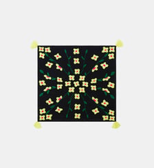 Foulard à pompons avec broderies JODDY Wild
