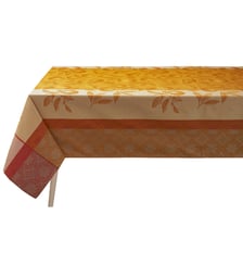 Nappe enduite Enduit Arrière-pays Le Jacquard Francais