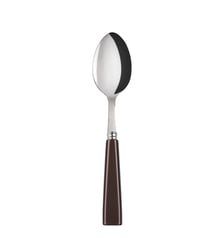 Cuillère à soupe, Icône Sabre