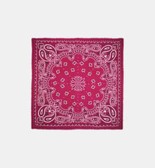 Grand foulard à motifs PAISLEY Wild