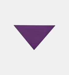 Grand triangle Sacha Bompard