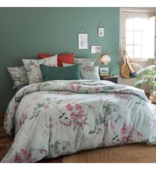 Housse de couette percale de coton La Redoute Interieurs