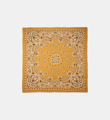 Grand foulard à motifs PAISLEY Wild