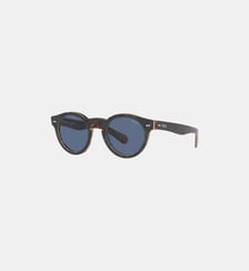 Lunettes de soleil Pantos PH4165 Polo Ralph Lauren