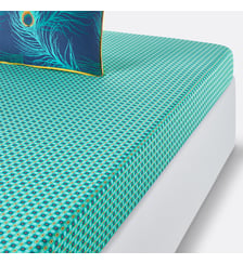Drap housse percale de coton La Redoute Interieurs