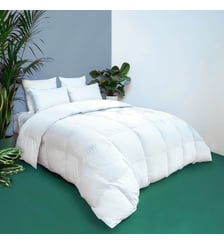 Couette TEMPEREE Toucher Duvet - Coton - Violette Wake Me Green