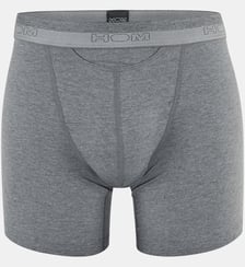 Boxer HO1 Basic Hom