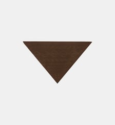 Triangle Sacha Bompard