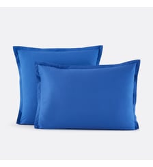 Taie d'oreiller en percale de coton, 80 fils La Redoute Interieurs