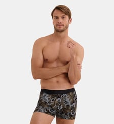 Boxer Aubade