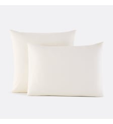 Taie d'oreiller unie en percale de coton, 80 fils La Redoute Interieurs